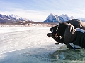 AbrahamLake008