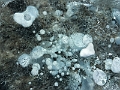 AbrahamLake020