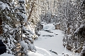 JohnstonCanyon019