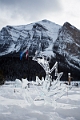 LakeLouise012