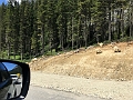 Kelowna003