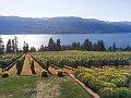 Kelowna007