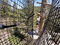 Kelowna085