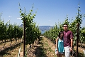 Kelowna135