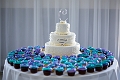 SamTrevorWedding038