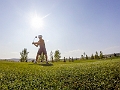 Golf223