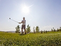 Golf224