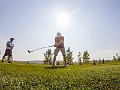 Golf225
