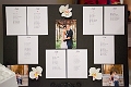 WillStephWedding004