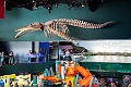 Aquarium002