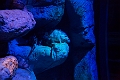 Aquarium006