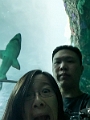 Aquarium032