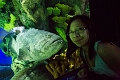 Aquarium033