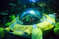 Aquarium037