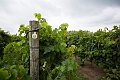 NiagaraOnTheLake002
