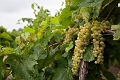 NiagaraOnTheLake003