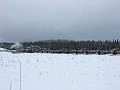 Jackfish008