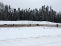 Jackfish009