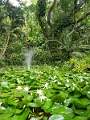 Fiji0023