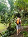 Fiji0026