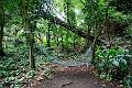 Fiji0027