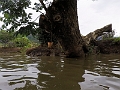 Fiji0069