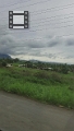Fiji0075
