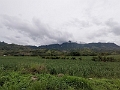 Fiji0076