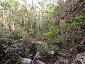 Fiji0129