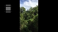 Fiji0134