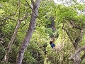 Fiji0136