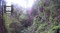 Fiji0162