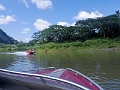 Fiji0270