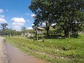 Fiji0276