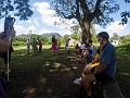 Fiji0279