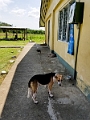 Fiji0282