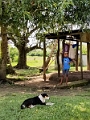 Fiji0299