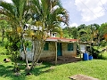 Fiji0314