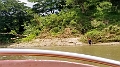 Fiji0351