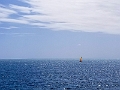 Fiji0439