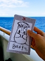 Fiji0441