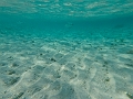 Fiji0453