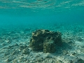 Fiji0456