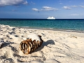 Fiji0461