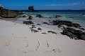 Fiji0481