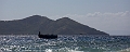 Fiji0490