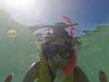Fiji0495