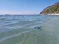 Fiji0499