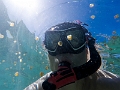 Fiji0502
