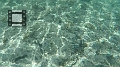 Fiji0507